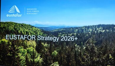 Stałe Przedstawicielstwo RP gospodarzem obchodów jubileuszu 20-lecia EUSTAFOR