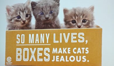 So many lives - Boces make cats jealous So many lives - Boxes make cats jealous