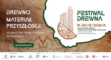 Festiwal drewna – odkryj surowiec, który zmienia świat!